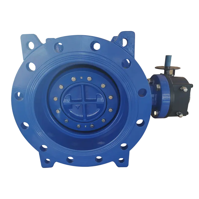 double eccentric butterfly valve