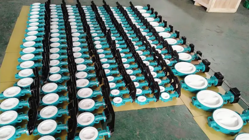 PTFE Fully lined wafer butterfly valves split type