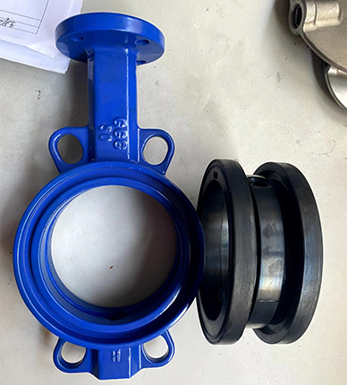replacable seat butterfly valve