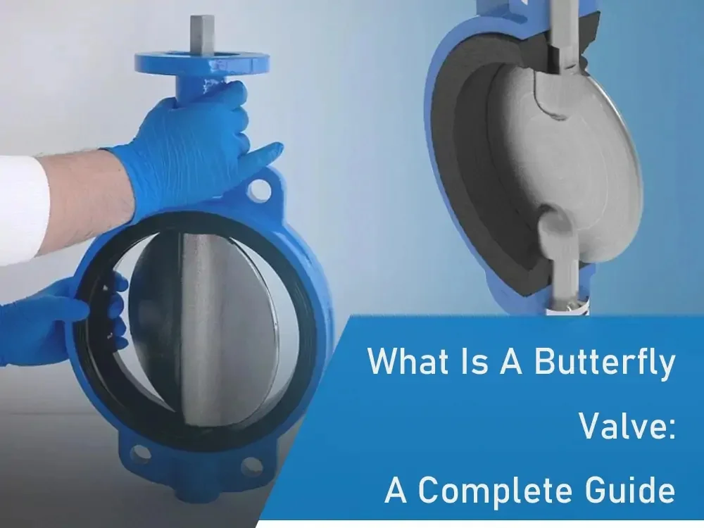 what is a butterfly valve