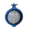 Single Flanged Type Butterfly Valve