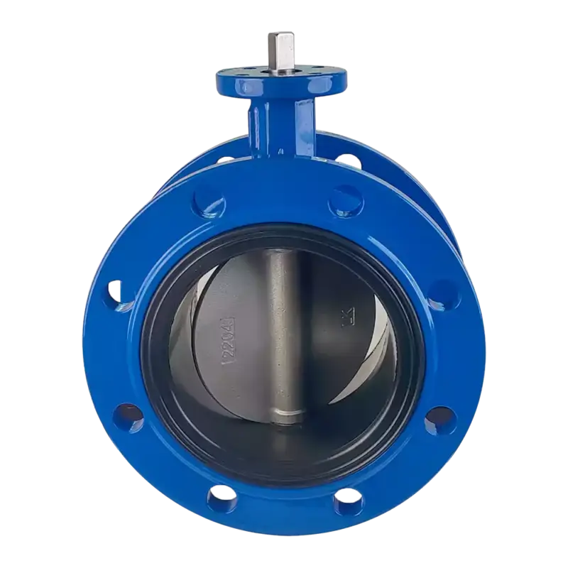 Ductile Iron Replaceable Soft Seat Double Flanged Butterfly Valve