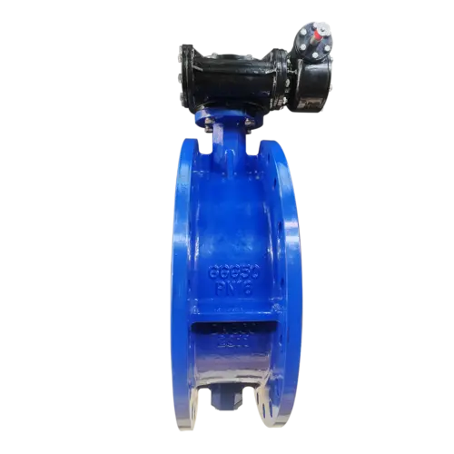 double_flged_butterfly_valve