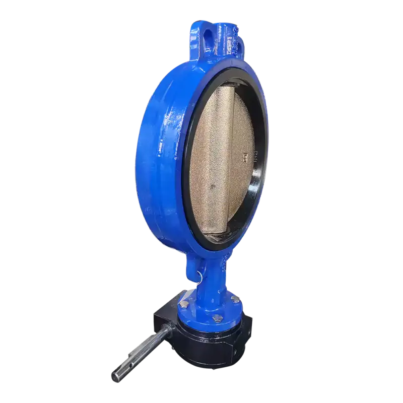 hard_back_seat_di_disc_butterfly_valves