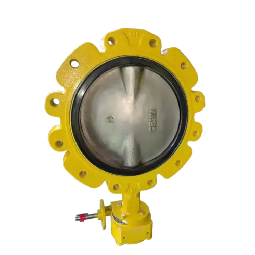 CF3MN Disc lug butterfly valve with worm gear