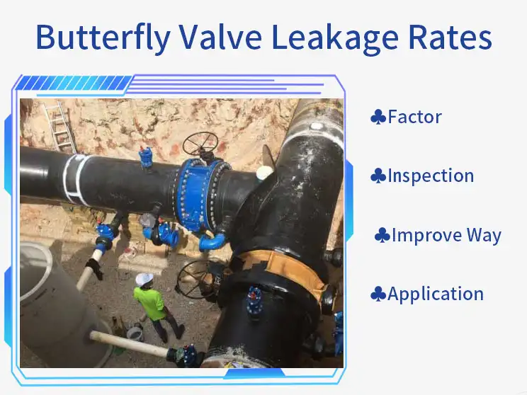 Butterfly Valve Leakage Rates