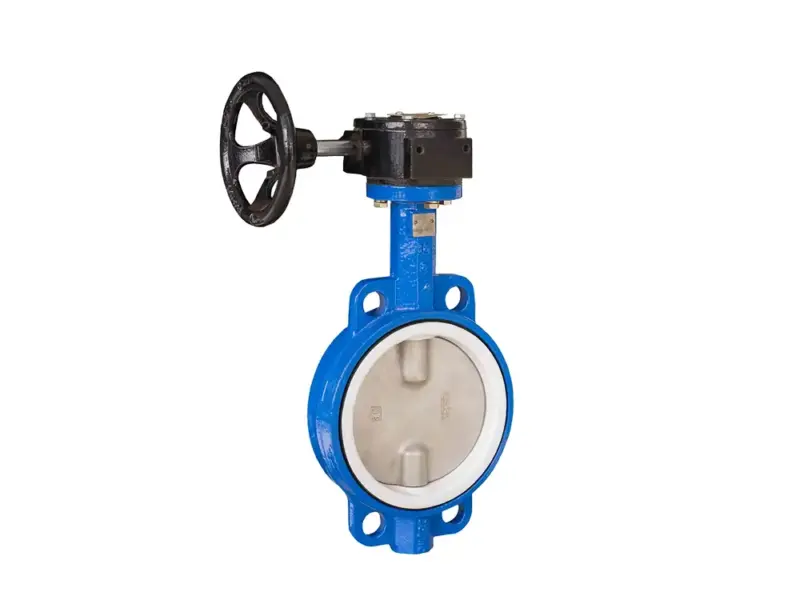 PTFE butterfly valve seats