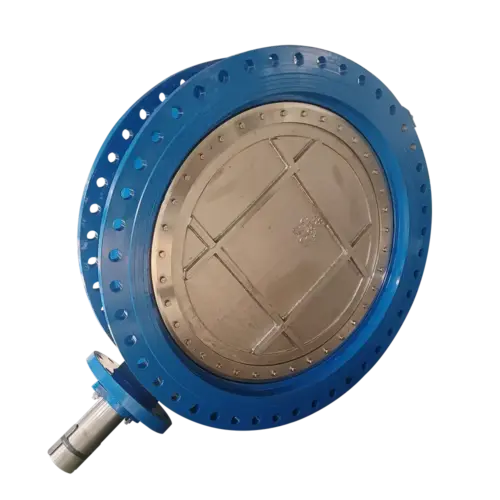 double-offset-butterfly-valve