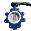 Anticorrosive-paint-lug-butterfly-valve