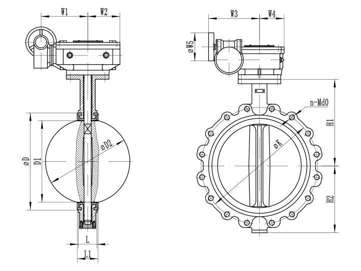 Worm-gear-lug-butterfly-valve