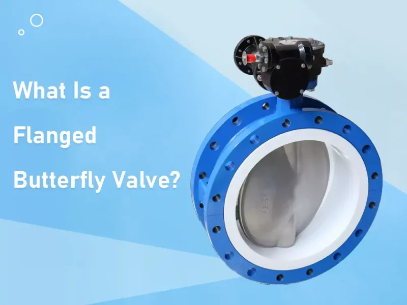 what is a flanged butterfly valve