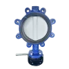 DN200-ptfe-disc-lug-butterfly-valve