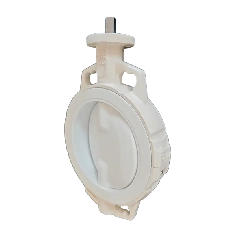 multi-standard-PTFE-disc-wafer-butterfly-valve