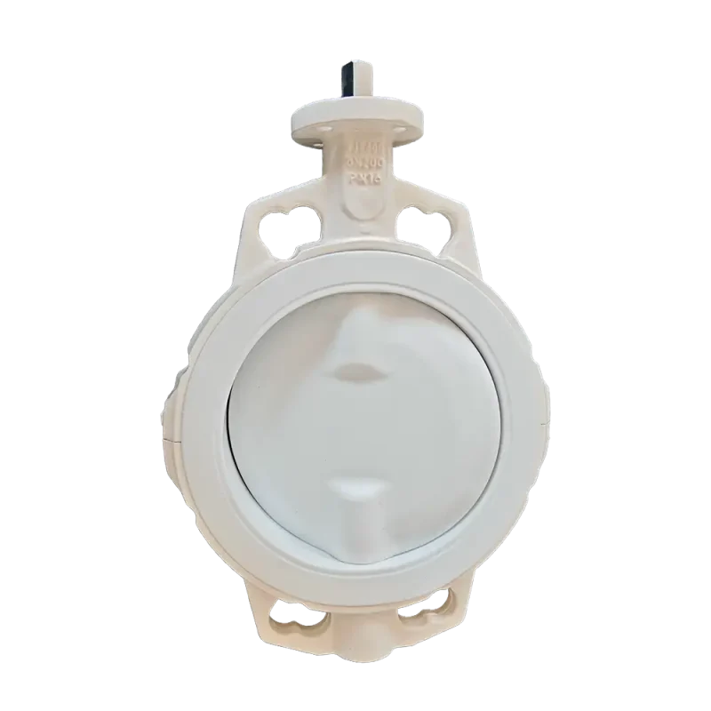 multi-standard-PTFE-fully-lined-wafer-butterfly-valve