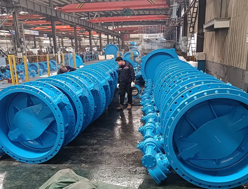 test-of-double-eccentric-butterfly-valve
