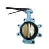 C954-disc-WCB-lug-butterfly-valve