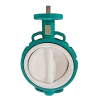 PTFE-lined-CF8-disc-wafer-butterfly-valve